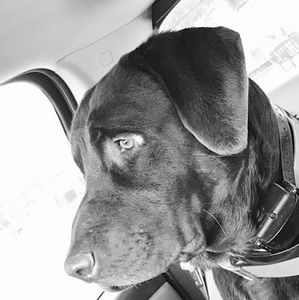 Meet your Posher, Dewayne